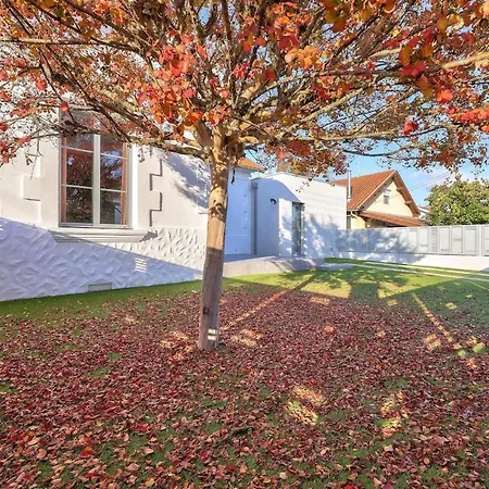 Maison Type Archonnaise Renovee A Proximite De Bordeaux Merignac (Gironde)